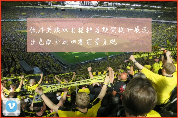 张帅更换双打搭档后默契提升展现出色配合巡回赛前景乐观